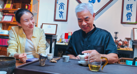 夜访千瓯雪：一杯古树茶的&ldquo;欧标&rdquo;答卷